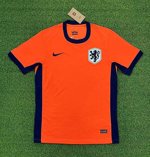 Netherlands 2024 Euro Home Football Jersey 1:1 Copy (S~4XL)